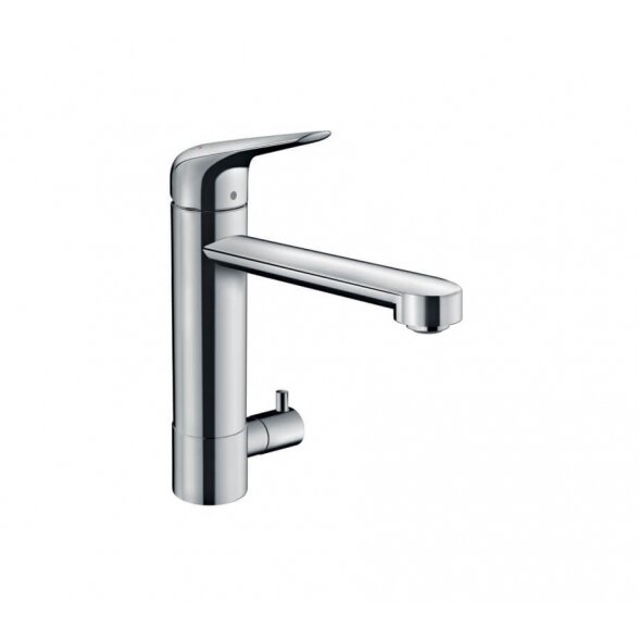 Hansgrohe Focus M42 71813000 virtuvinis maišytuvas