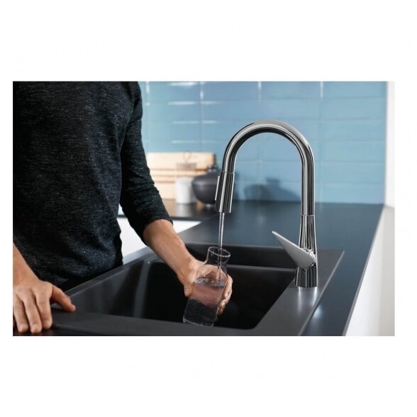 Hansgrohe Talis M51 73850000 virtuvinis maišytuvas 1